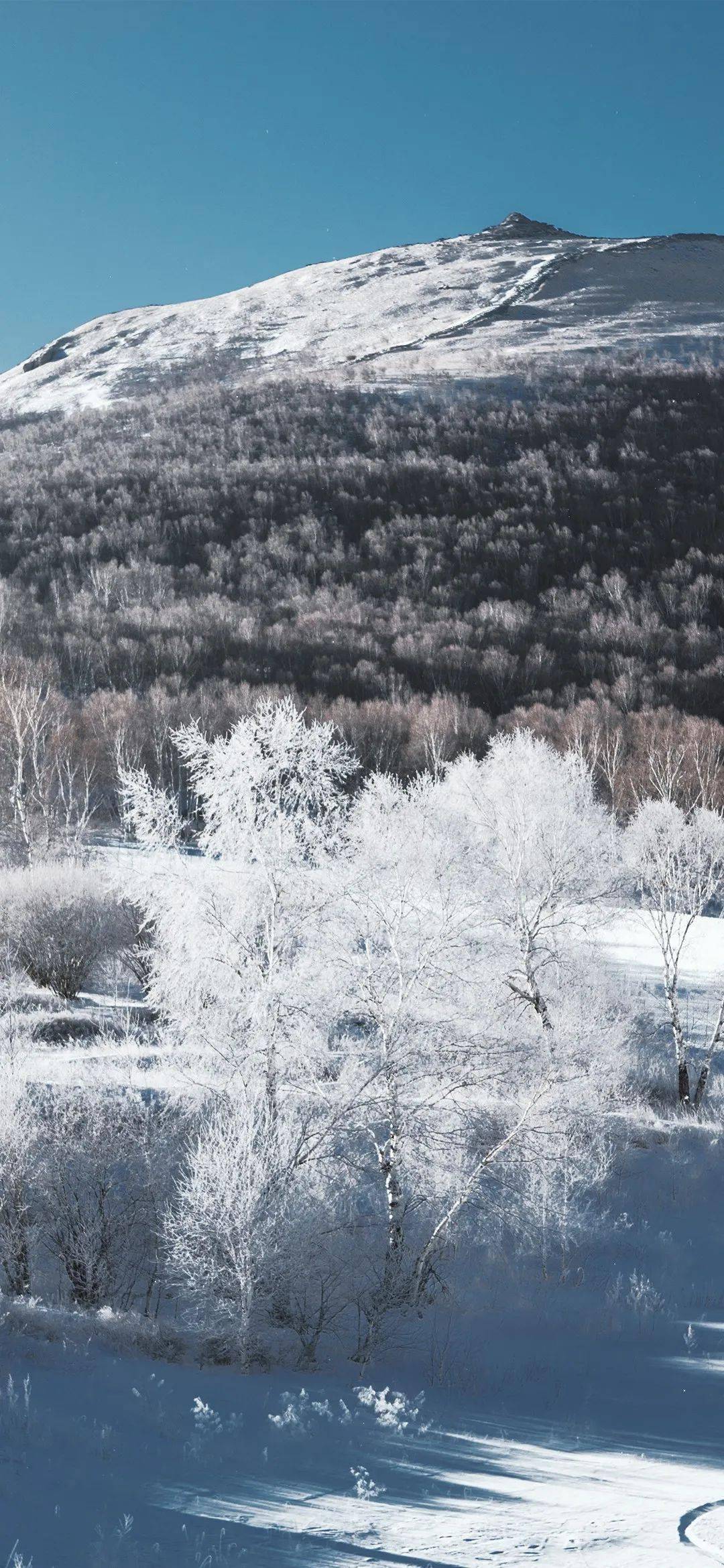 比起滑雪,崇礼的雪景更令人上头 | 壁纸收藏