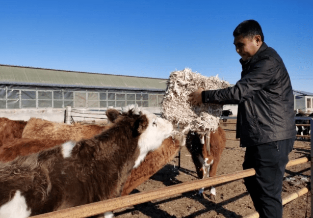 牙克石有多少人口_牙克石火车站(2)