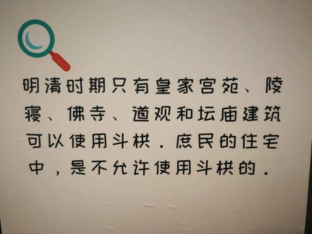 cdb975fa839e474ca5b09eae9fc8536e.jpeg