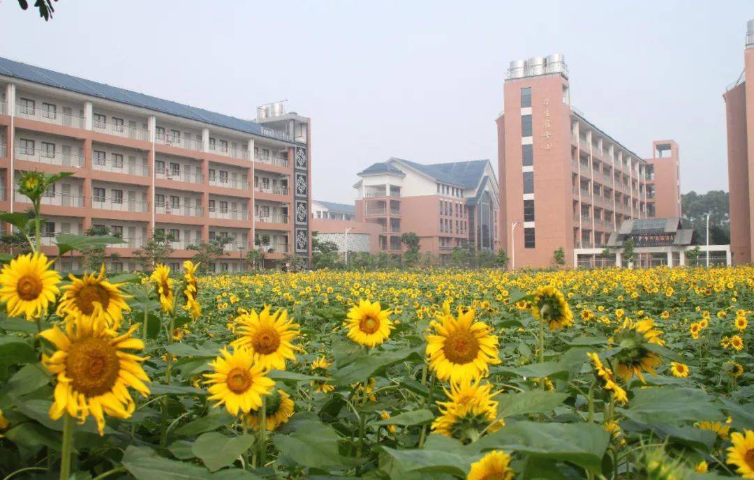 一起来了解一下东莞市第七高级中学