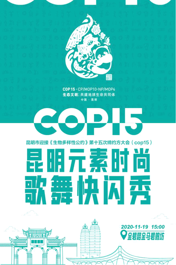 装满昆明人对cop15的期待——官渡区南坝幼儿园参加昆明市迎接cop15