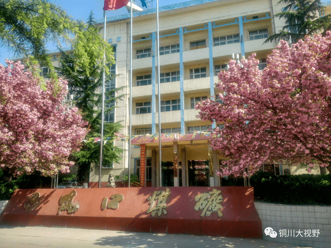 印台区gdp_印台区检察院图片(2)