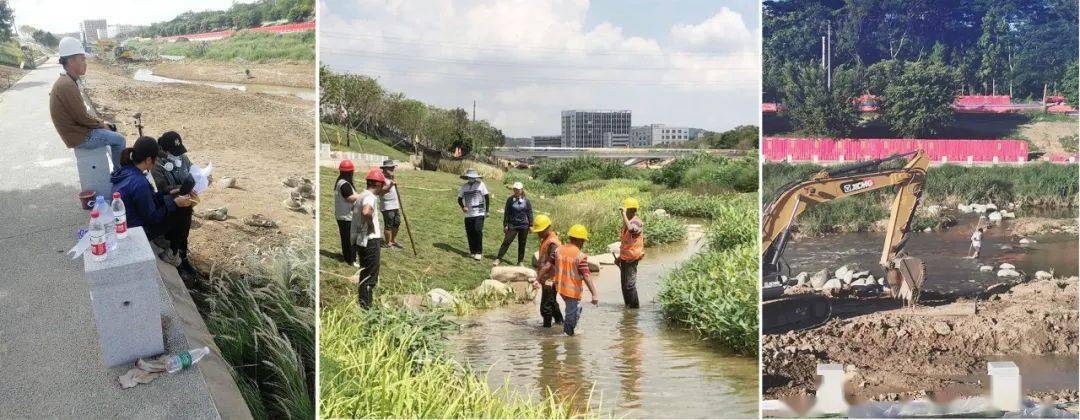 AR精选 | 重塑河道生命系统 ：深圳茅洲河碧道·光明段生态修复试点 — EADG_丁坝