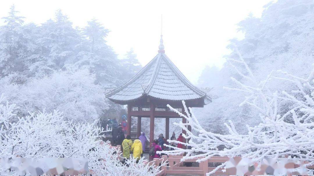 降温后第一场大雪上线,想看雪景的朋友看这里!