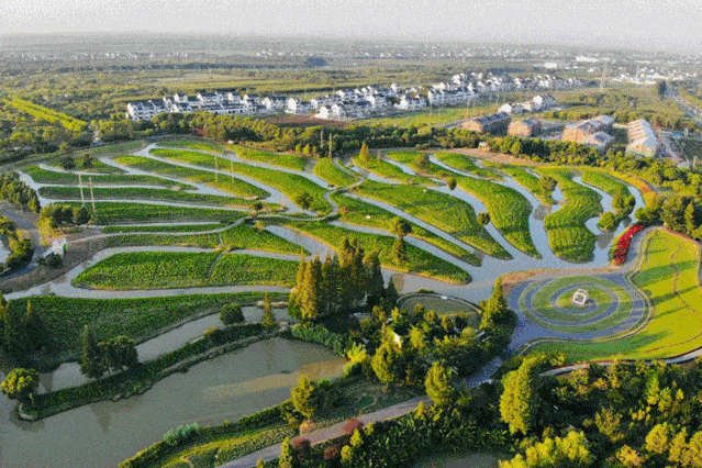 【99元畅玩上海野生动物园】2021上海畅玩季卡(冬季版)开售,火影忍者