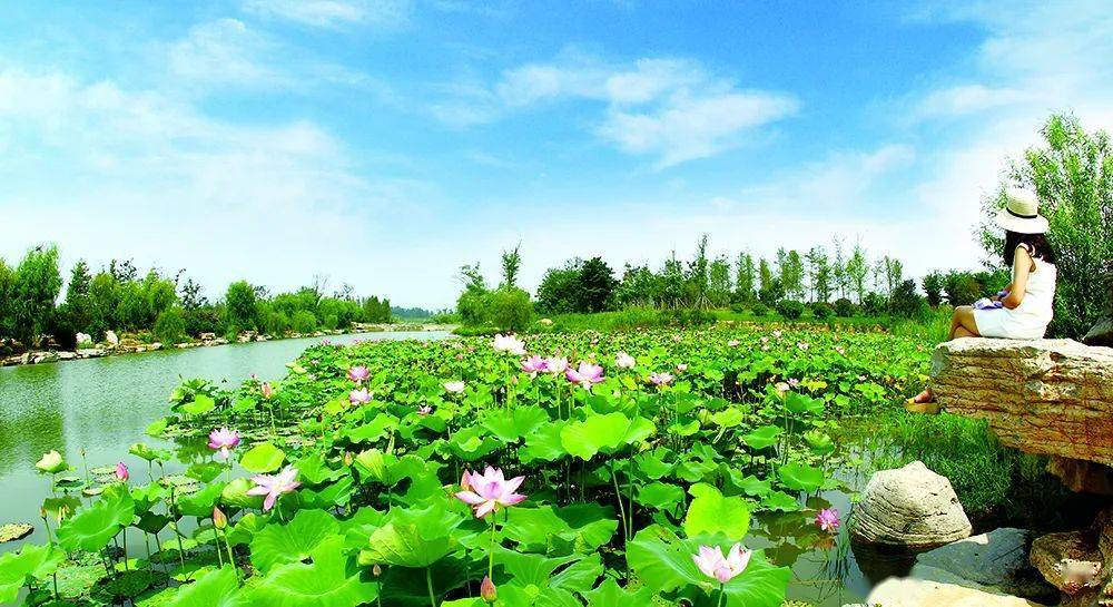 留住绿水青山,守住生态底色—苑庄河喜获省级大奖