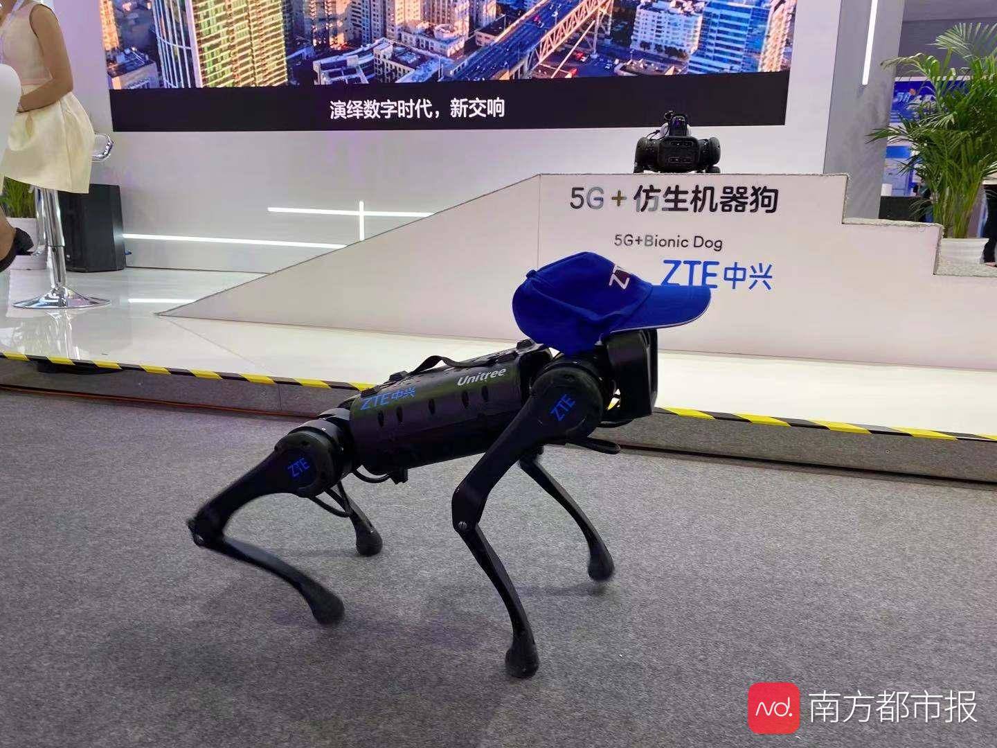 城市|体验未来生活:牵着机器狗,刷脸开车门,去听AI演奏会