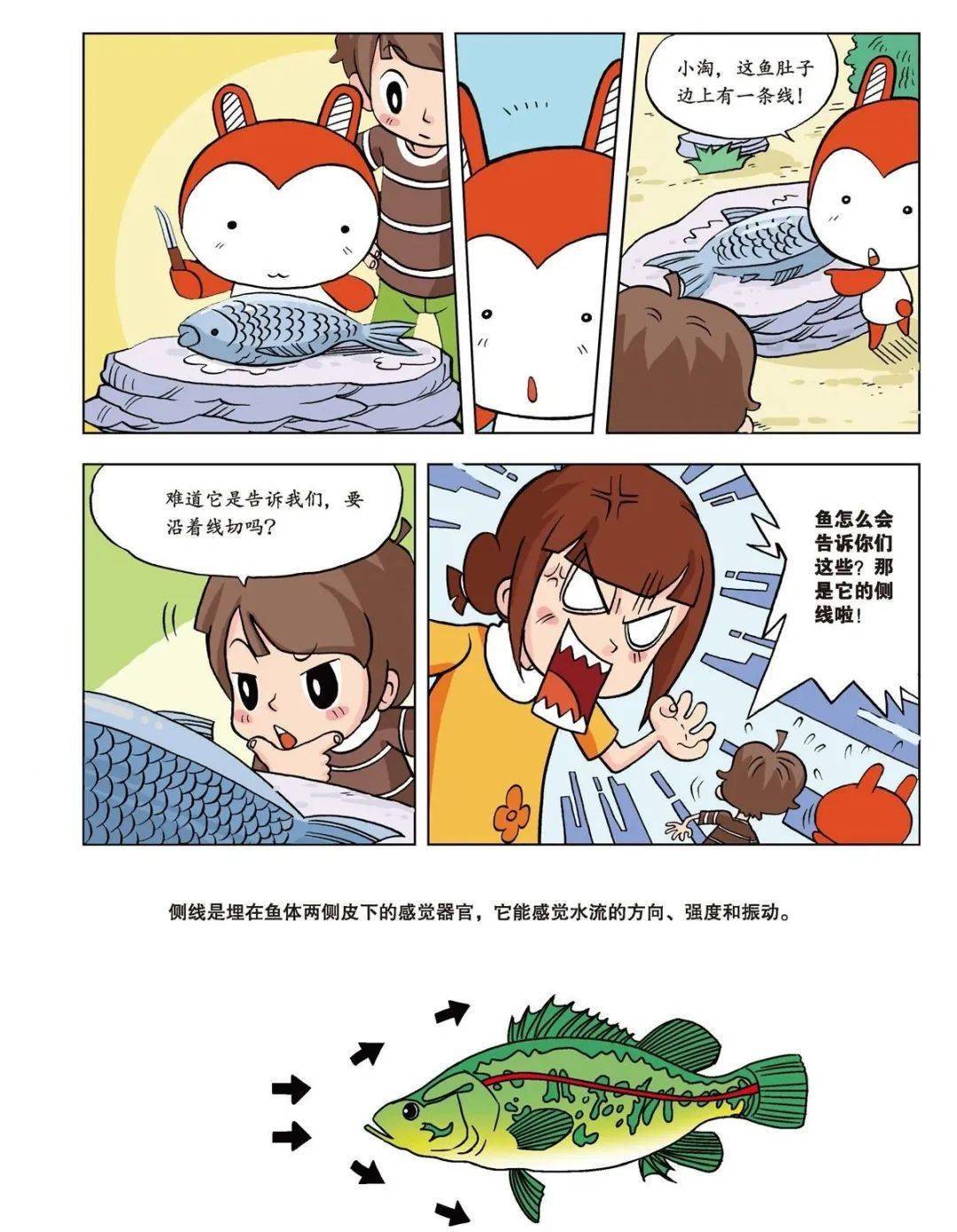 洋洋兔又出新书漫画版十万个为什么孩子读完知识蹭蹭涨