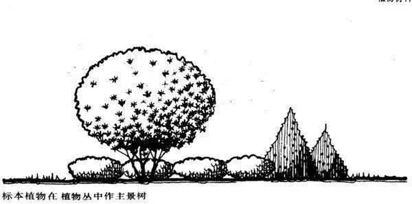 483cf26e5f5745f1bc2258a63f3b1e8a.jpeg