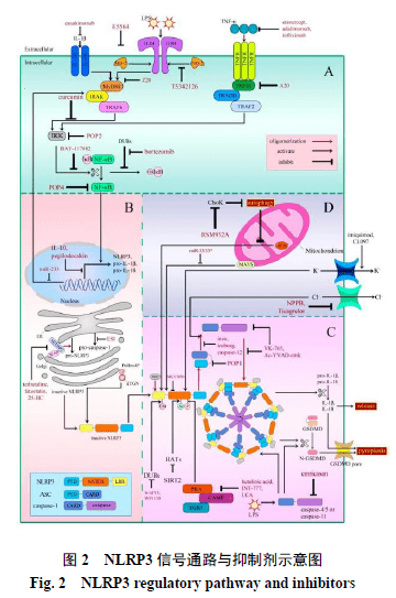 小分子实验原理是什么_分子轨道图是什么(2)