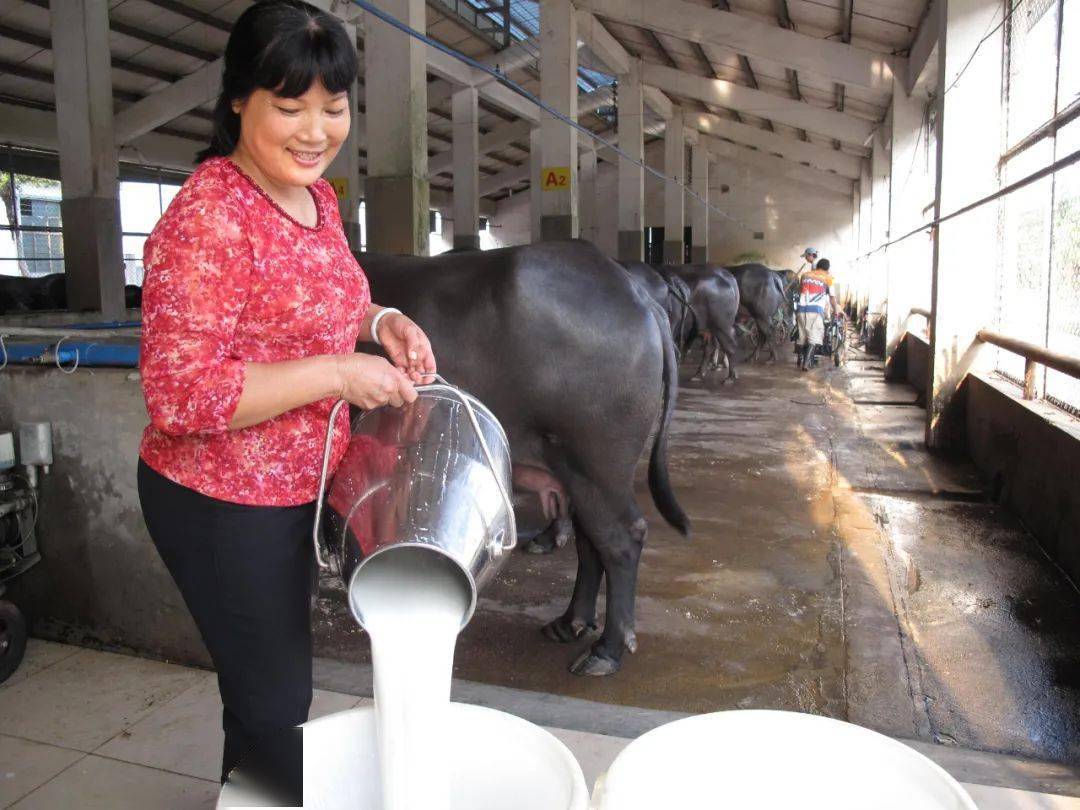 遂溪2020gdp_遂溪一中图片(2)