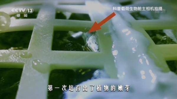月球|月亮上没有嫦娥和玉兔，中国的“探月之路”也从未停歇→