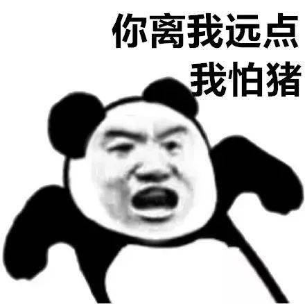 近期抖音热图精选热门套路表情包合集