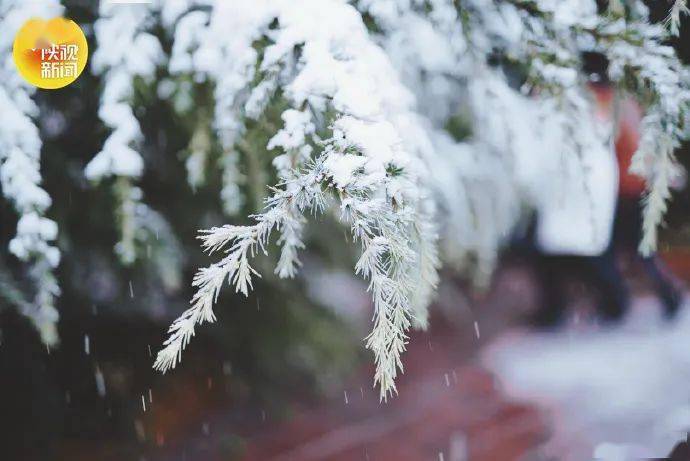 新一轮雨雪将至!西安的第二场雪,要来了吗?