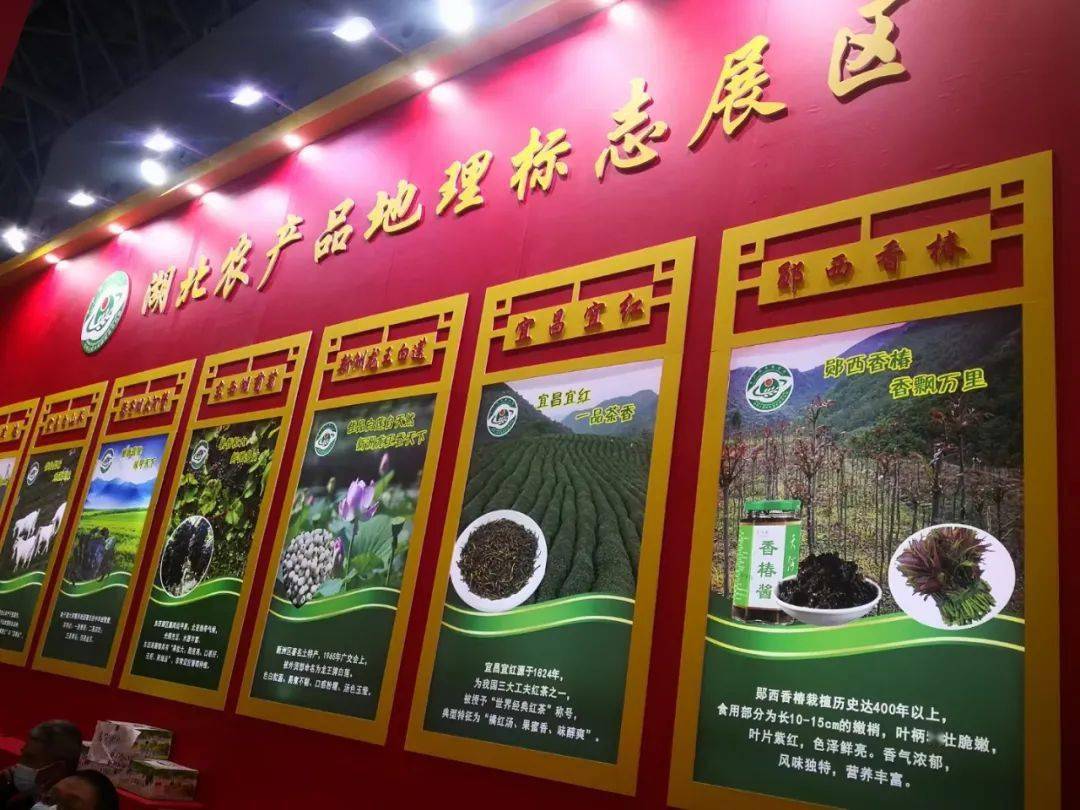 郧西香椿代表湖北地理标志农产品在重庆国际博览中心展出!