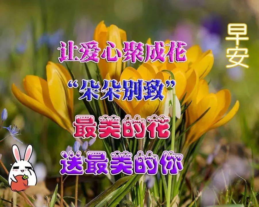 b3a9c6423cc74e239fa1729cfeaad83f.jpeg
