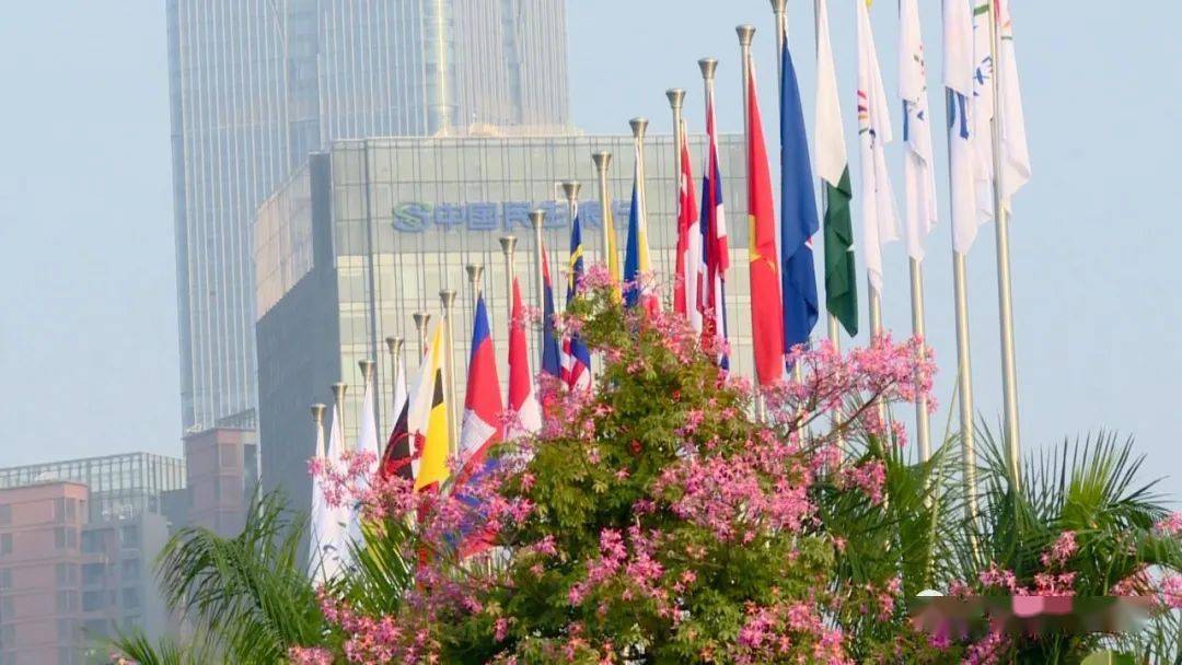 东盟七国人口_东盟十国国旗
