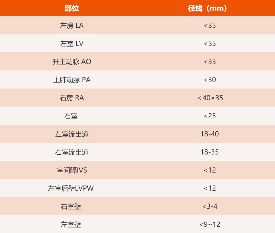 超声基础 心脏超声正常值(汇总)