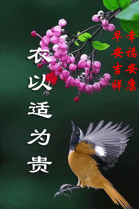 464_696 竖版 竖屏