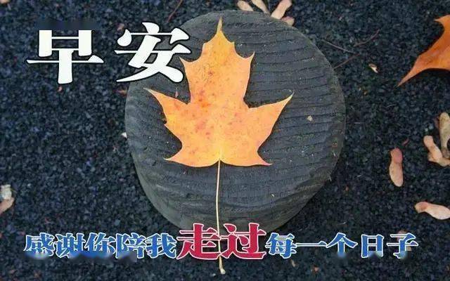 12,新的一天到了,我把自己的祝福做成桂花糕,送给你,愿你:出门遇贵人