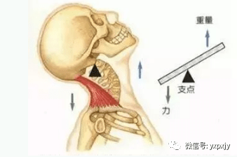 成语十什么如椎_成语故事简笔画(4)