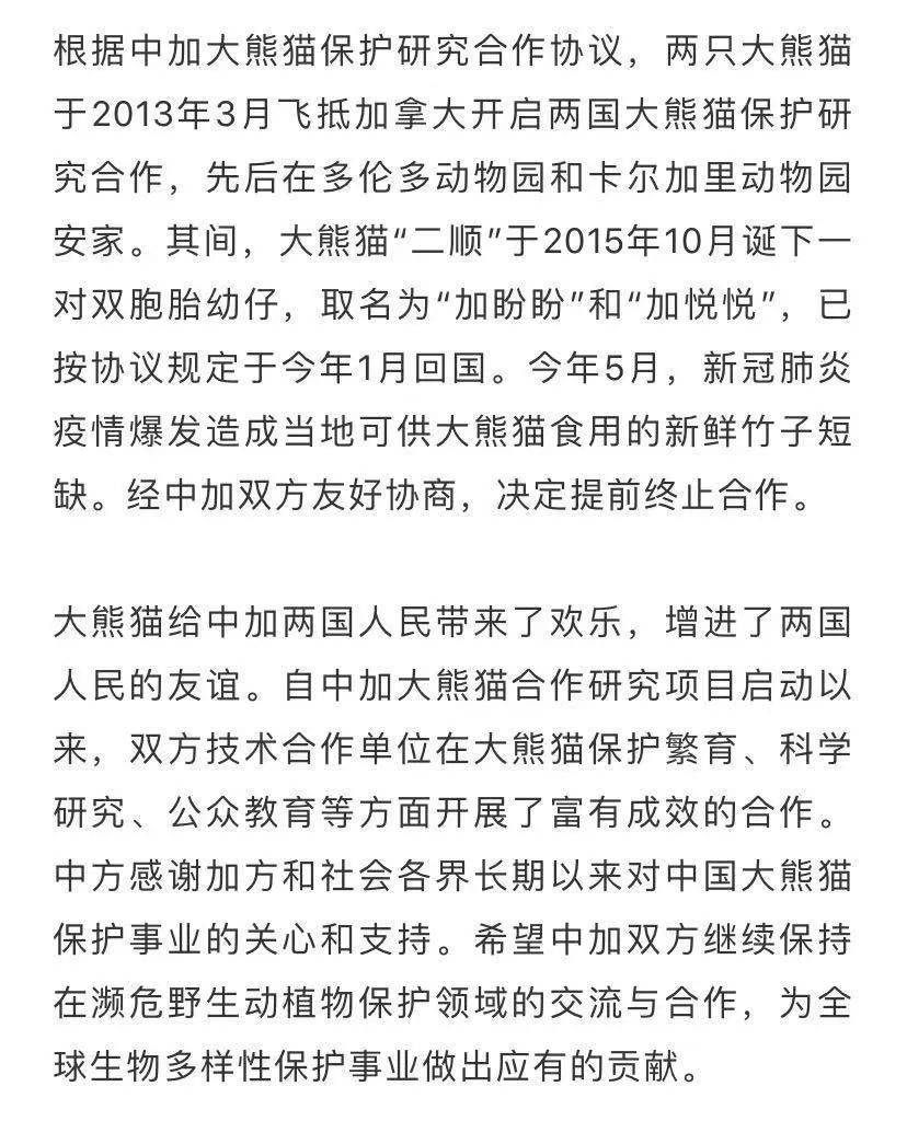 大毛简谱_大毛腿(3)