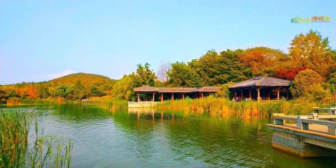 淮南最美风景随手拍摄影作品展示