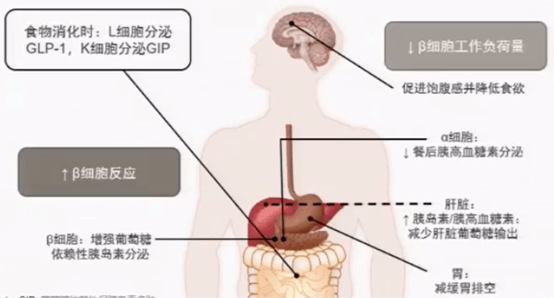 735f90ab2c944b1194518b58713eb7c9.png