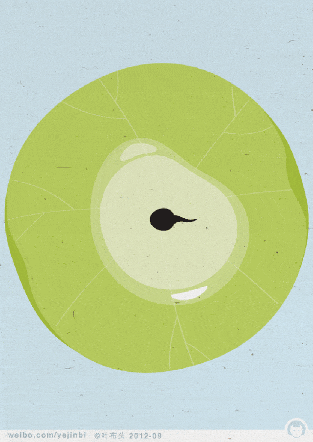 1c87868c3eb1442695e3564a149cfcca.gif