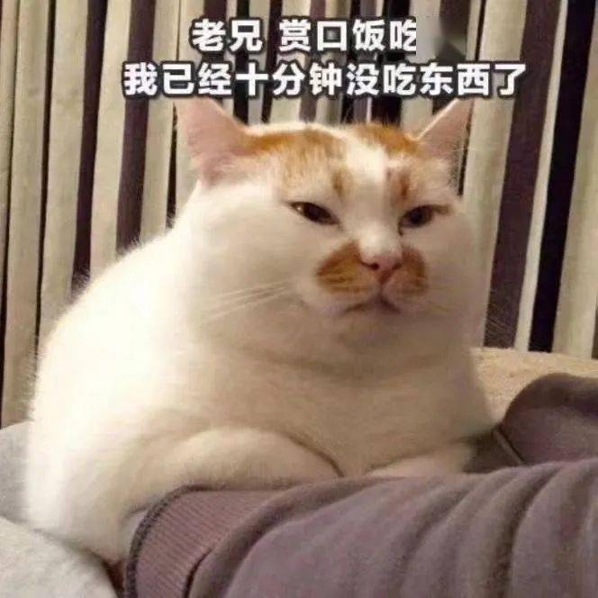 同志们好图片表情包 8c4af86767c14c83af37b223111d93e4.jpeg