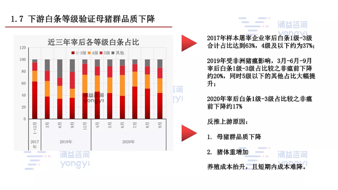 母猪GDP