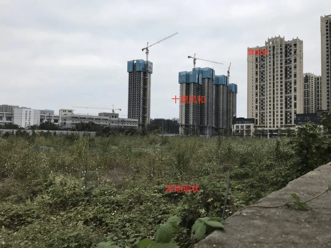 三圣乡板块 05b201eacfed412ab2495f21dcff87c5.png