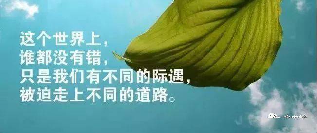 澳门三肖三码精准100%管家婆,2025新澳天天彩免费大全_影响人心的哲理;是否给你启示、嫉妒作答落实解释