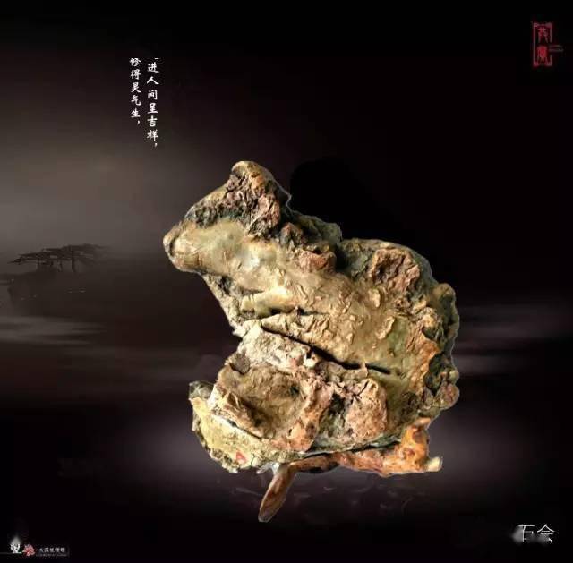 450万成交的一块绵羊奇石