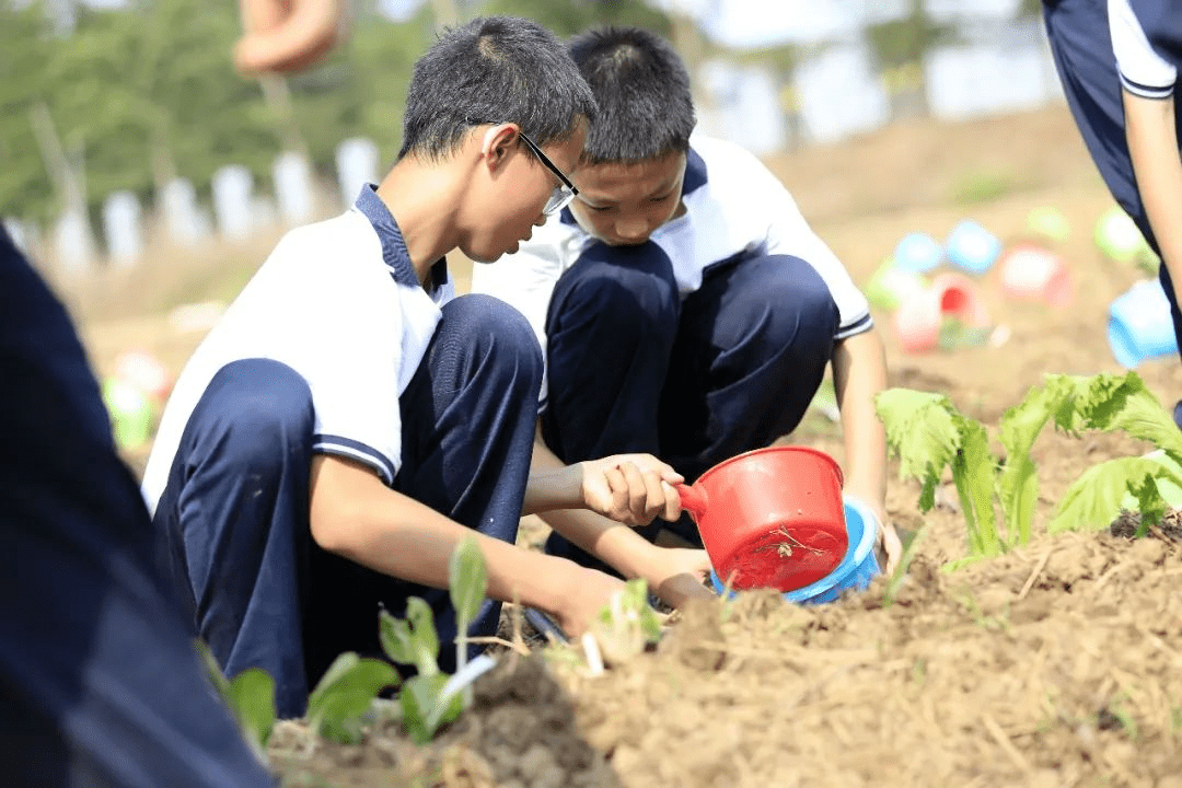 走跟着佛山同学一起去研学