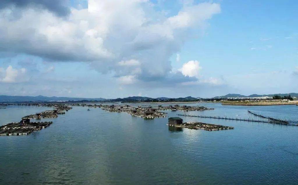 无人养殖场如何实现?李道亮教授:关于无人渔场技术的几点思考