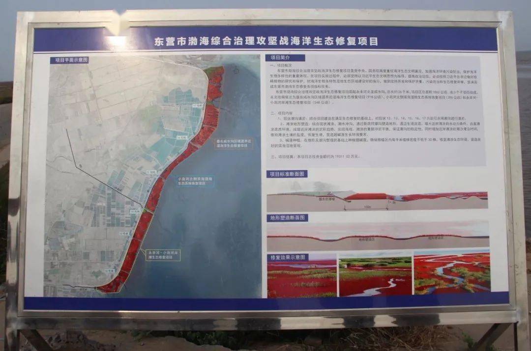 东营市现有近岸海域4800平方公里,滩涂1200平方公里,海洋管理岸线413