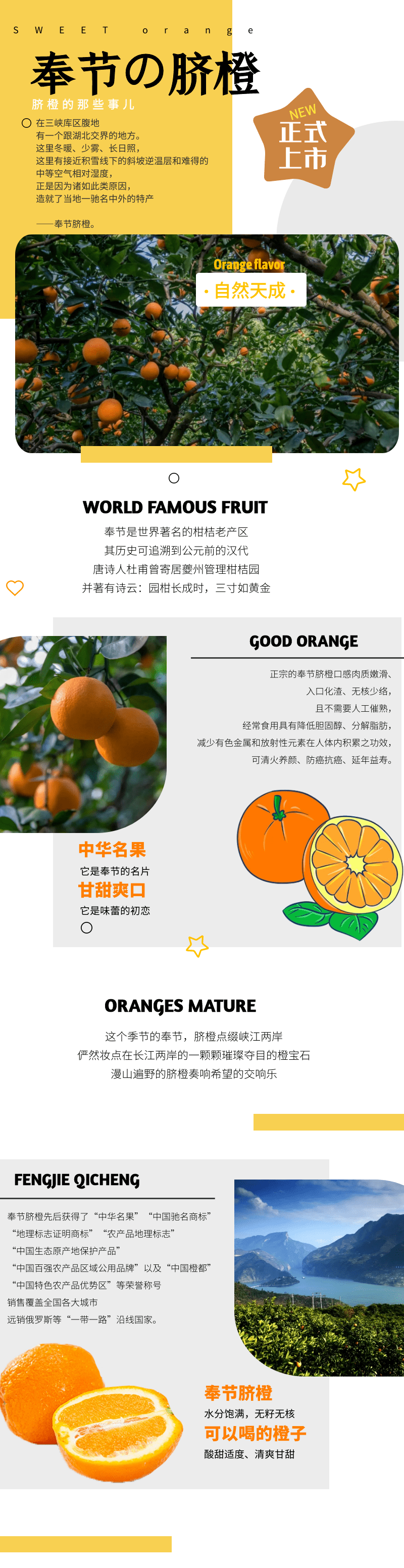 奉节脐橙 · 白帝橙 · 无门槛 "橙"招代理!