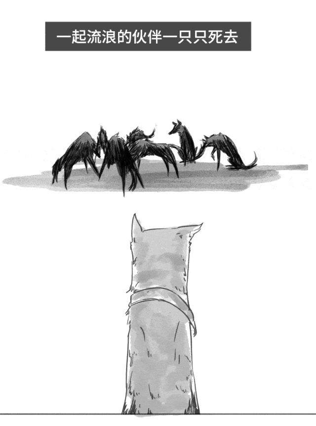 640_861 竖版 竖屏