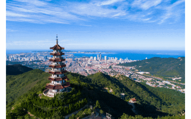 投票100w ,点击668w !