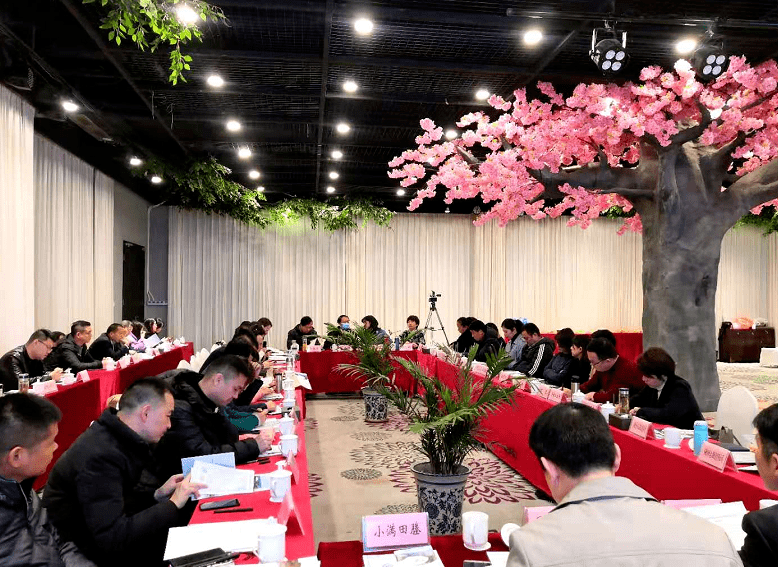 舒城和庐江2020GDP_舒城中学图片