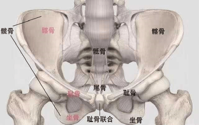 5dc530683a784d209cb2bee7dca1856a.png