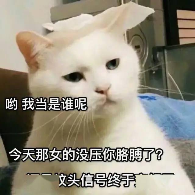 a0b9b173bbb14928ac5026f69b9de0a9.jpeg