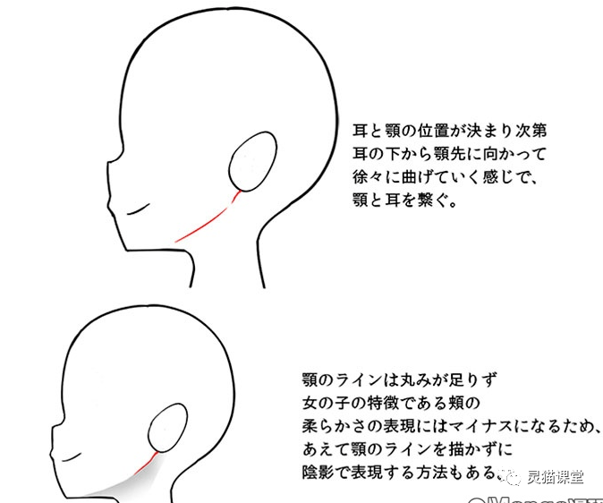 确定好了下巴和耳朵的位置后,  从耳朵下方到下巴这画一条下巴线.