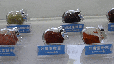 晨光生物展厅里的展示品.长城网记者 袁立朋 张建勋 摄