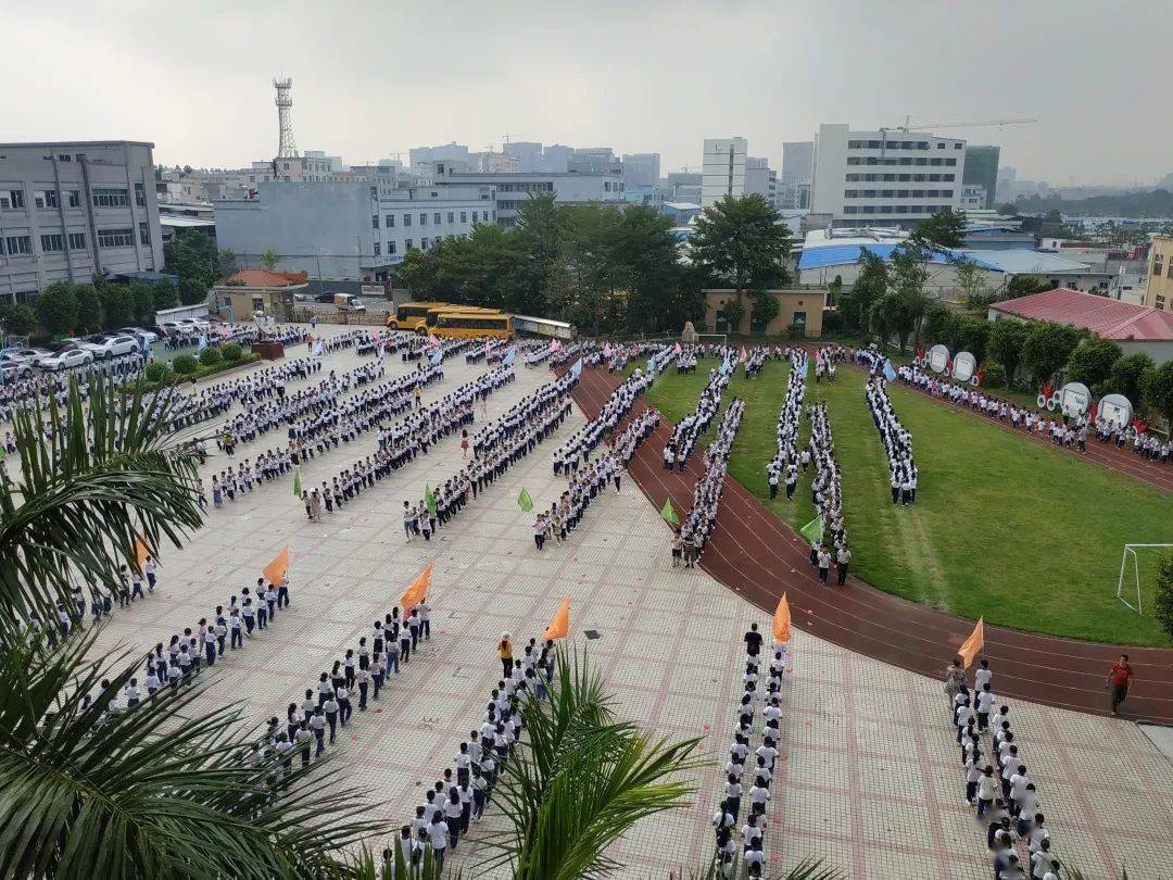 东莞市寮步明珠小学2021年春季插班生招生开始啦