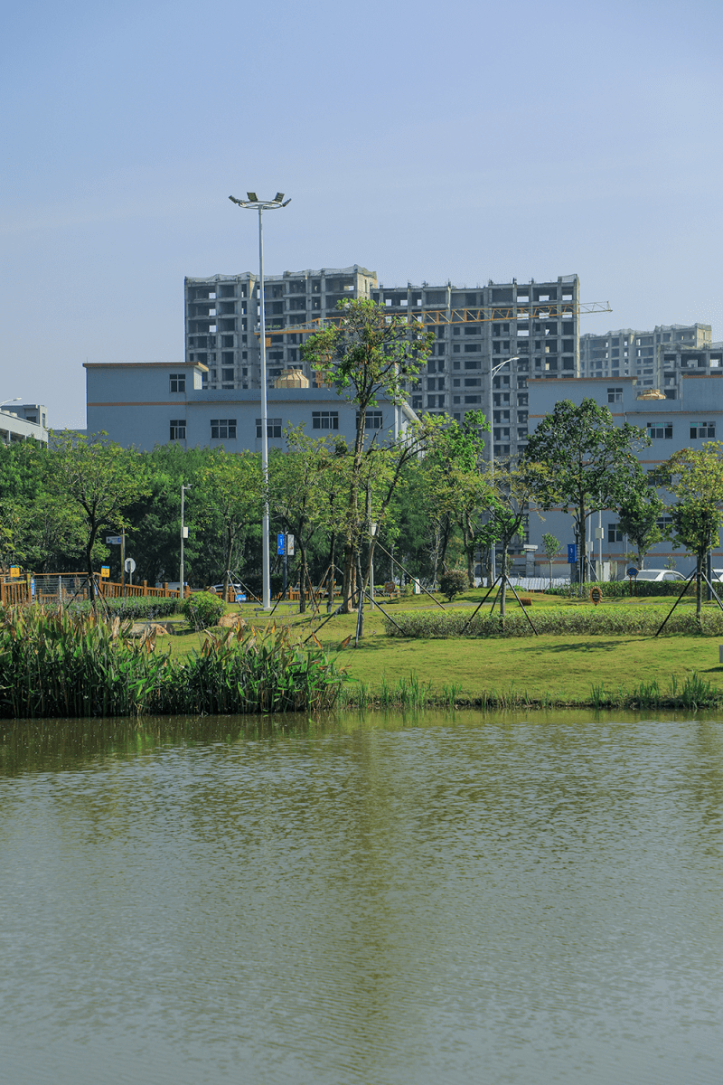 发现光明治水景观裕湖公园一水护园将绿绕两岸排闼送青来