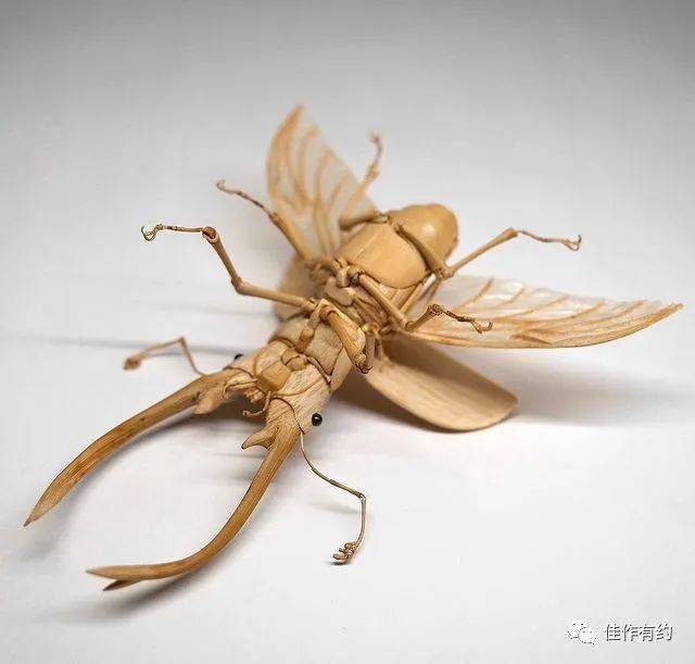 日本手工艺人用竹子就能作出逼真的昆虫模型