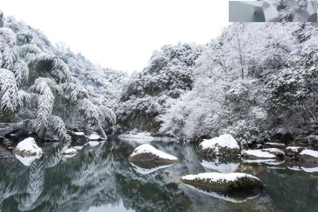 接下来就等四明山的一场初雪了