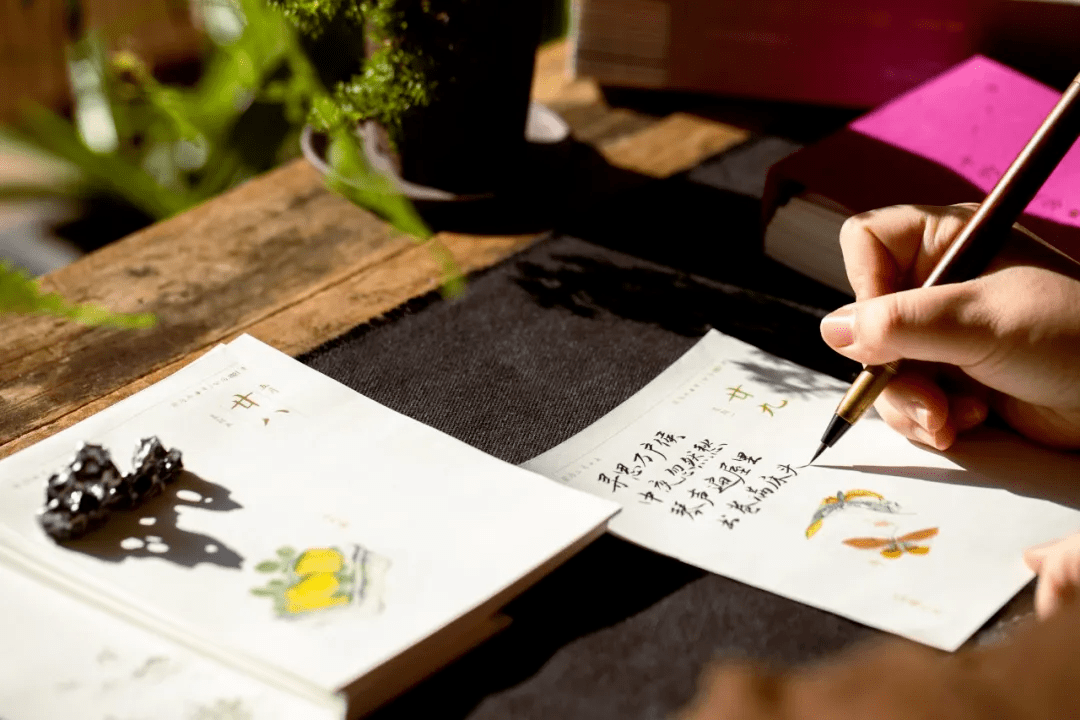 越来越不懂简谱_越来越不懂爱简谱(2)